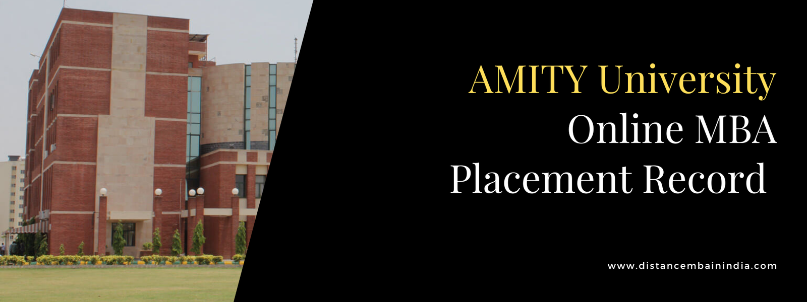 Amity University Online MBA Placement Record