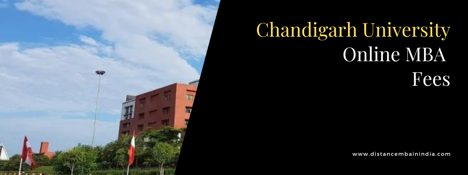 Chandigarh University Online MBA Fees