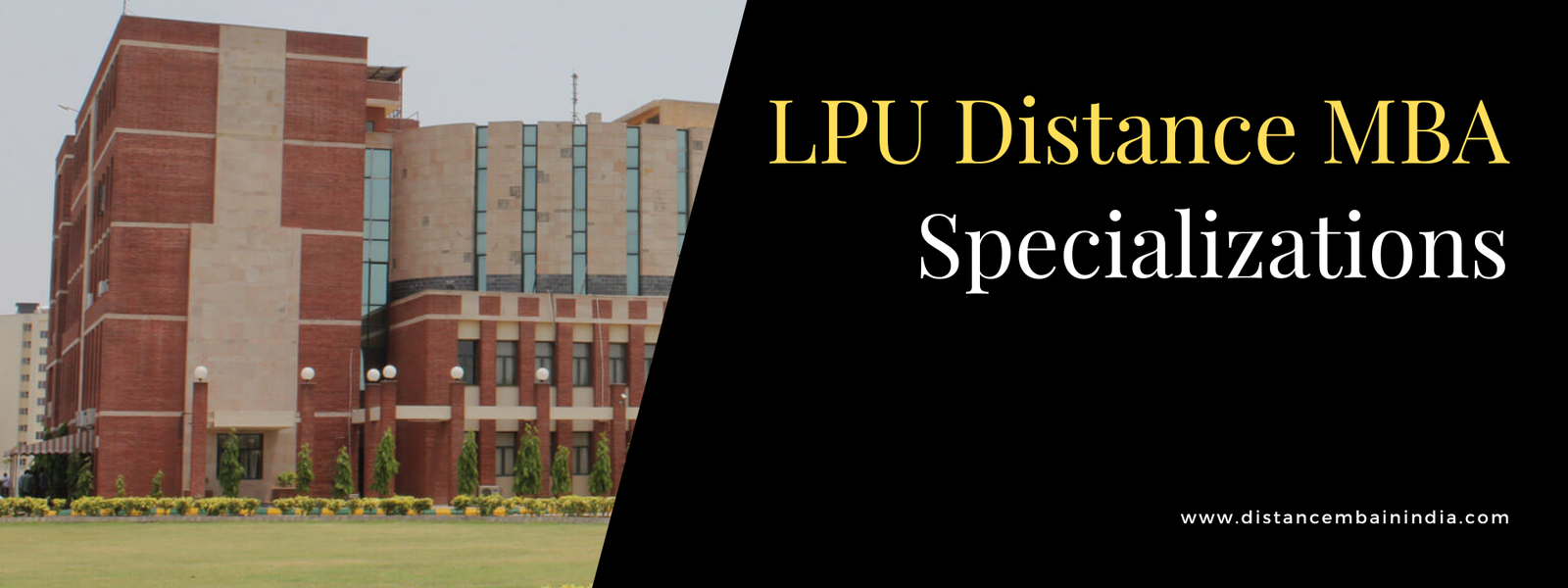 LPU Distance MBA Specializations
